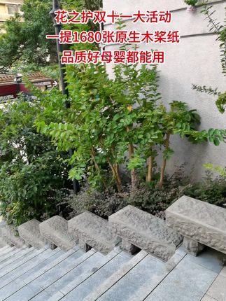 #悬挂抽纸 #生活用纸 #巨无霸抽纸 #大包型抽纸 #花之护抽纸