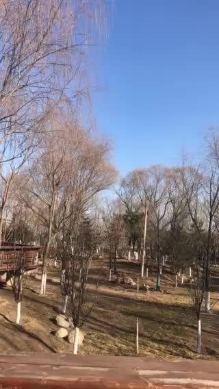 【甘露寺】是全部【龙凤呈祥】中的一折,说的是刘备过江招亲的事。东吴孙权设计,假将胞妹孙尚香许配刘备,诓刘备过江意在杀之。诸葛亮将计就计,派赵云护送,申明大义的乔玄力主孙刘联合抗曹,却促使了这段好姻缘,反致孙权赔了夫人又折兵的结果。劝千岁杀字休出口,是马连良马派的经典段子,民间传唱较普遍,早年间一般喜欢京剧的人都能唱几句。