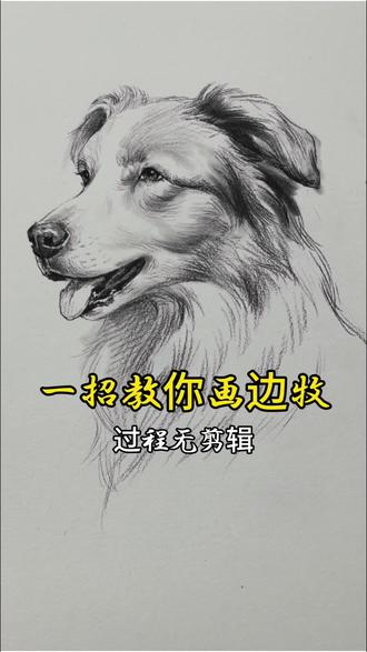 揭秘边牧画法,简单、易学 #手绘 #手绘教程