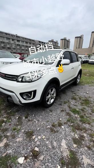 一万多点城市小越野,还是个自动挡! #万元代步车 #万元自动挡 #温岭
