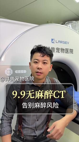 老年宠物做 CT 无麻醉更安心 #老年宠物护理 #宠物CT检查 #宠物医疗创新
