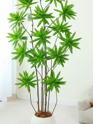 【仿真植物百合竹客厅落地盆景仿生摆件假盆栽装饰电视柜仿真绿植】#家居好物 #健康 #每日分享 #绿植盆栽 #日常分享