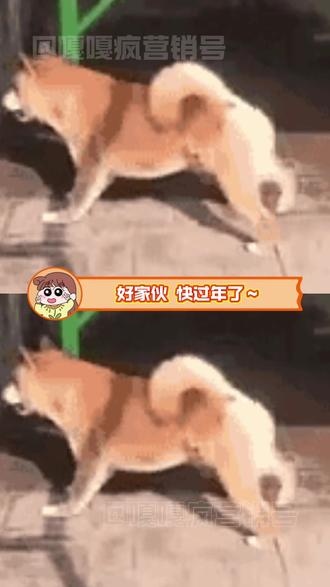 第一次这么直观的感受到语音评论的战斗力~#搞笑 #娱乐评论大赏 #万万想不到 #语音评论