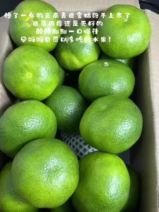 馋了一年的云南青皮蜜桔终于上市了!酸酸甜甜一口爆汁巨好吃!#新鲜应季水果 #橘子 #蜜橘 #青皮蜜桔 #优质农产品