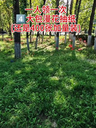 #漫花抽纸 加量装!每包都是400张!#漫花 #漫花纸巾 #漫花抽纸巾 #抽纸