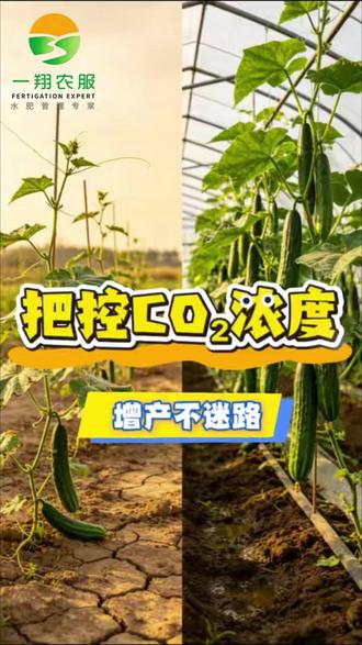 农服科普系列 (十四) 吃透补偿点与饱和点,把控二氧化碳浓度促生长!
#农服学院 #一翔农服 #二氧化碳 #种植科普 #作物增产