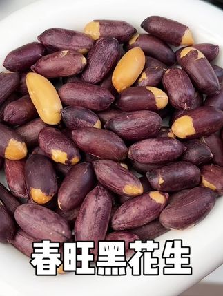 春旺富硒黑花生,富含花青素和维生素,老人孩子更要多吃,颗颗饱满,咸香酥脆超好吃#春旺花生 #黑花生 #下酒菜 #花生米 #追剧小零食