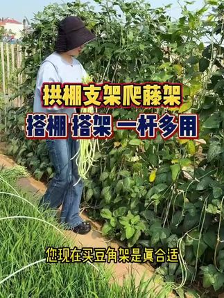 #支架 #拱棚支架#拱棚支架杆 #拱棚杆 #拱棚支架种菜@巨量千川 @DOU+小助手 玻璃纤维杆拱棚支架适用于种菜室外搭棚及爬藤支撑