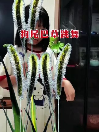 狗尾巴草舞蹈!小孩子喜欢小草舞一看就会,陪孩子玩!薯天在家多运动!
