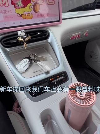 除甲醛净化 全套车载居家用品大全竹炭包 家用车内除味活性炭清新#除甲醛除异味 #车载竹炭包 #除甲醛竹炭包 #竹炭包 #竹炭包除甲醛