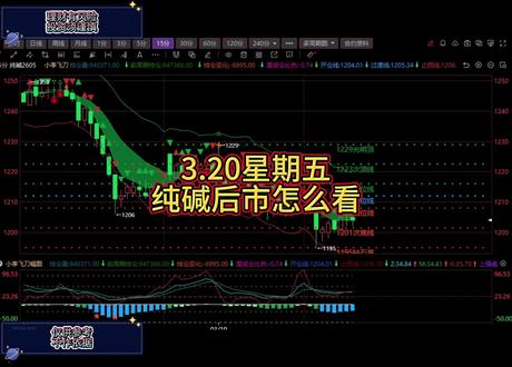 3.20纯碱后市行情解读 #期货 #纯碱 #韭菜