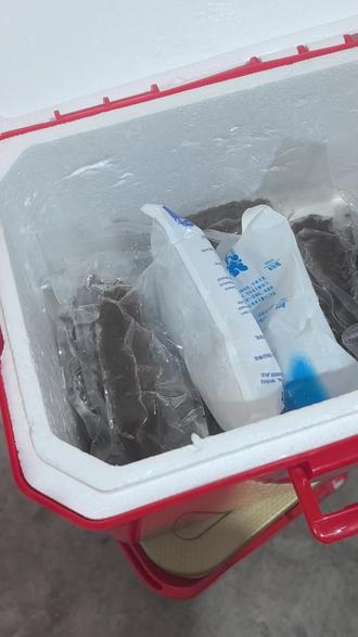 顺丰发货到10号止!