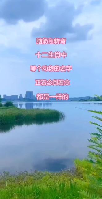 脑筋急转弯丨十二生肖中哪个动物的名字,正着念倒着念都是一样的