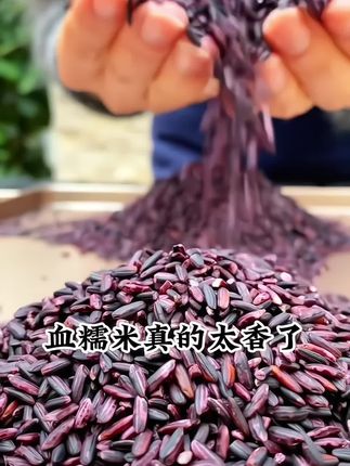 #优质粗粮 #血糯米 #东北血糯米 #在抖音入手的好东西