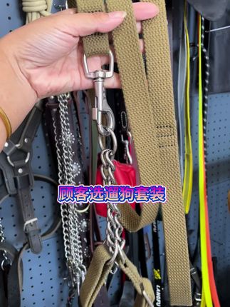 马犬德牧工作犬遛狗套装 马犬德牧工作犬遛狗套装#马犬 #德牧 #罗威纳