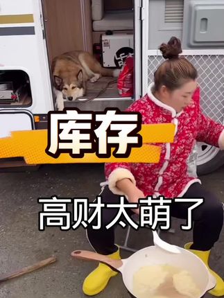高财马上就要到大连了#户外 #俄罗斯流浪狗