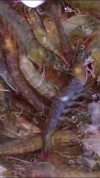 几个关于食物的冷知识……#你不知道的事 #冷知识