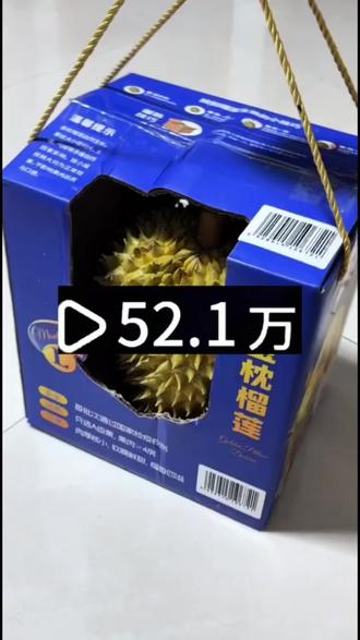 6块网上买的山姆金枕榴莲后续来了,依旧是报恩榴莲#山姆榴莲#榴莲#报恩榴莲