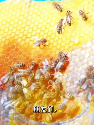 #蜂蜜