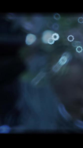 疯狂地用一生去绘 #33号远征队 #玛埃尔