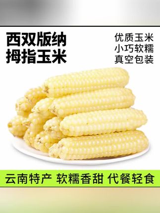 【软糯香甜 浓浓玉米香】云南特产拇指玉米新鲜糯玉米加热食用2/4斤#小玉米 #糯玉米 #拇指玉米 #美食分享 #玉米排骨汤