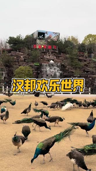 一大一小只要36.9,就能在汉邦欢乐世界畅玩一整天,各种萌宠互动+无动力随便玩,还有精彩的节目都包含#汉邦欢乐世界 #西安孔雀东南飞#西安孔雀放飞#亲子游玩好去处 #遛娃好去处