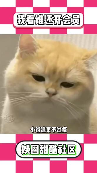 斩仙台下,我震惊了诸神!怎么看都看不腻 #斩仙台下我震惊了诸神 #番茄小说 #番茄动态漫