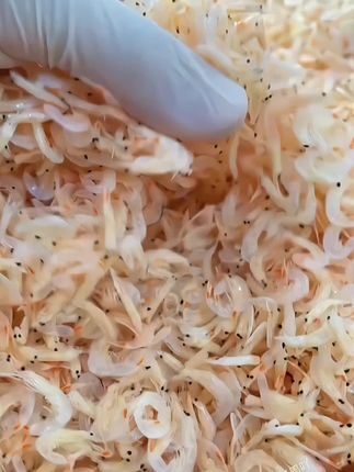 #虾皮 #虾米#混沌虾米#海鲜水产