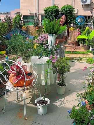 养花,我喜欢这种轻便又美观花盆,关键价格也很给力#爱生活爱养花 #花盆
