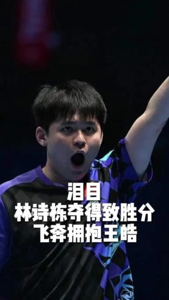 中国男团夺得冠军#林诗栋 #伦敦世乒赛 #创作者中心 #创作灵感