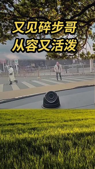 为所有司机点赞#交通 #交通安全 #又见碎步哥 #路人视角