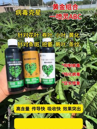 #病毒病 进口水包油,利巴韦林原油多元复配,抑制钝化修复病叶,促长#瓜果蔬菜 都可以用#黄瓜病毒病 #西红柿病毒病