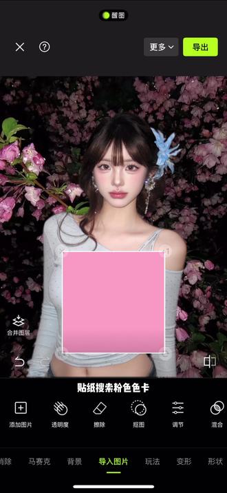 换个背景,高级感背景有了吗 #p图教程 #氛围感拍照 #醒图创作者 #海棠花 #时尚穿搭