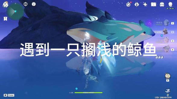 遇到一只搁浅的鲸鱼 #原神空月之歌 #菈乌玛