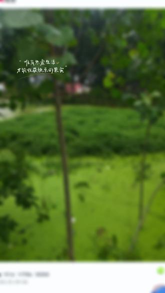 拍照上传。#三资清理 #三资管理 #三资清理清查