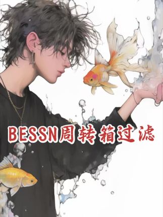 BESSN周转箱过滤小鱼缸过滤滴流盒上置多层过滤盒高效水循环系统#鱼缸里的大自然 #周转箱过滤#鱼缸过滤#鱼缸过滤器推荐