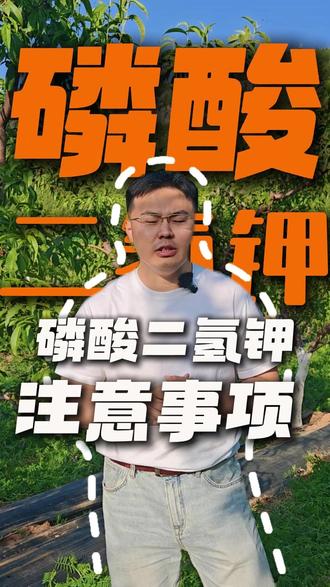 磷酸二氢钾使用注意事项 #磷酸二氢钾 #果树施肥 #桃树施肥 #幼果期管理