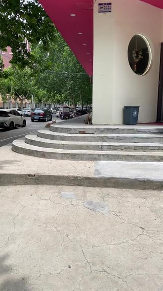 催着开门的老顾客#流浪猫 #流浪猫日常