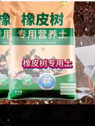 种植#橡皮树 用土可以用这个#橡皮树专用土 疏松透气,营养丰富#橡皮树营养土 #橡皮树专用营养土#花卉绿植