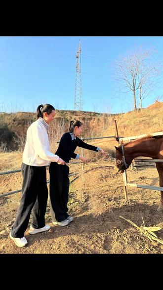 大年初三 马圈里和马同框跳舞的一天😄#马年跳
#马圈跳舞