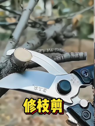 这款sk5锰钢修枝剪,剪口平整不留刀痕,不伤树皮SK5合金钢热处理工艺,不崩不卷,SK5钢刀头,锋利耐用,防滑手柄握感舒适#园林工具 #修枝剪 #农民好帮手 #sk5锰钢剪刀
