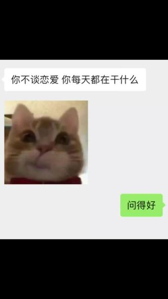 恋爱可以不谈 小说不能不看#恋爱可以不谈但饭得吃 #不谈恋爱每天都在干嘛 #恋爱可以不谈小说不能不看