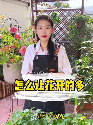 怎么让花开的多#种植小技巧 #家庭养花达人 #养花 #园艺生活 #强烈推荐
