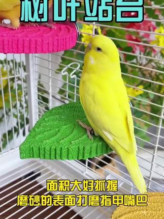 【磨喙磨爪 不易掉渣】鹦鹉树叶磨砂站杆玄凤站架鸟用树脂耐啃咬KJ