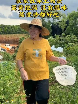 这个现捡现发的农家散养土鸡蛋,谷物喂养土鸡下的鸡蛋,蛋黄很饱满,吃起来很香喔,破损包 赔,想吃的朋友可下单#农村土鸡蛋 #土鸡蛋#优质农产品#现捡鸡蛋 #家常菜
