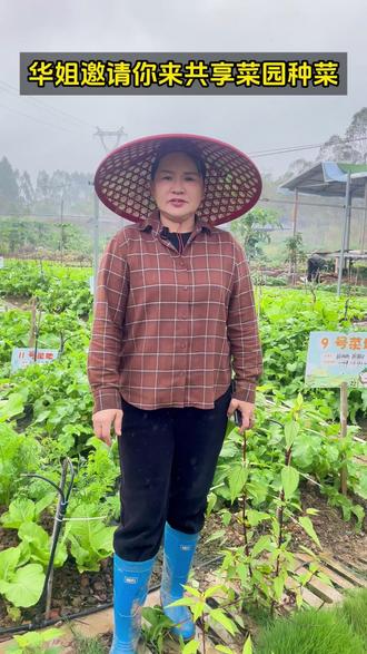 南宁共享菜园#玉洞德米田园