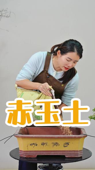 天然火山灰烧制的国产赤玉土,颗粒饱满无粉尘#赤玉土 #园艺 #盆栽 #好盆友娜娜