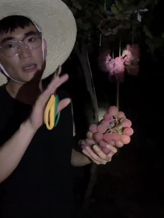 妮娜皇后葡萄新鲜孕妇水果红提子无籽红宝石当季现摘树上成熟味浓#妮娜皇后#脆甜爽口#香味浓郁#口感特别