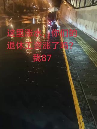 昨夜的雨一直下个不停#暴雨来袭