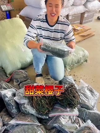 #家乡好货 #土特产 #东北甜菜樱子